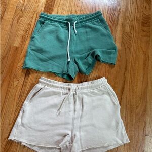 American Eagle Outfitters Teal and Cream Athletic Shorts